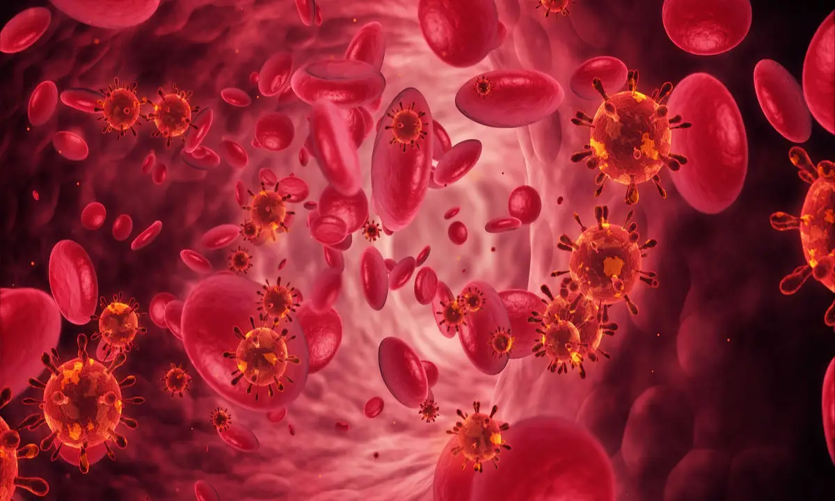 بیماری های خونی