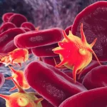پلاکت خون چیست؟